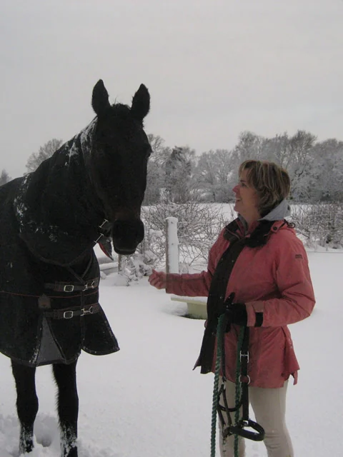 A quiet moment with a horse in the snow
